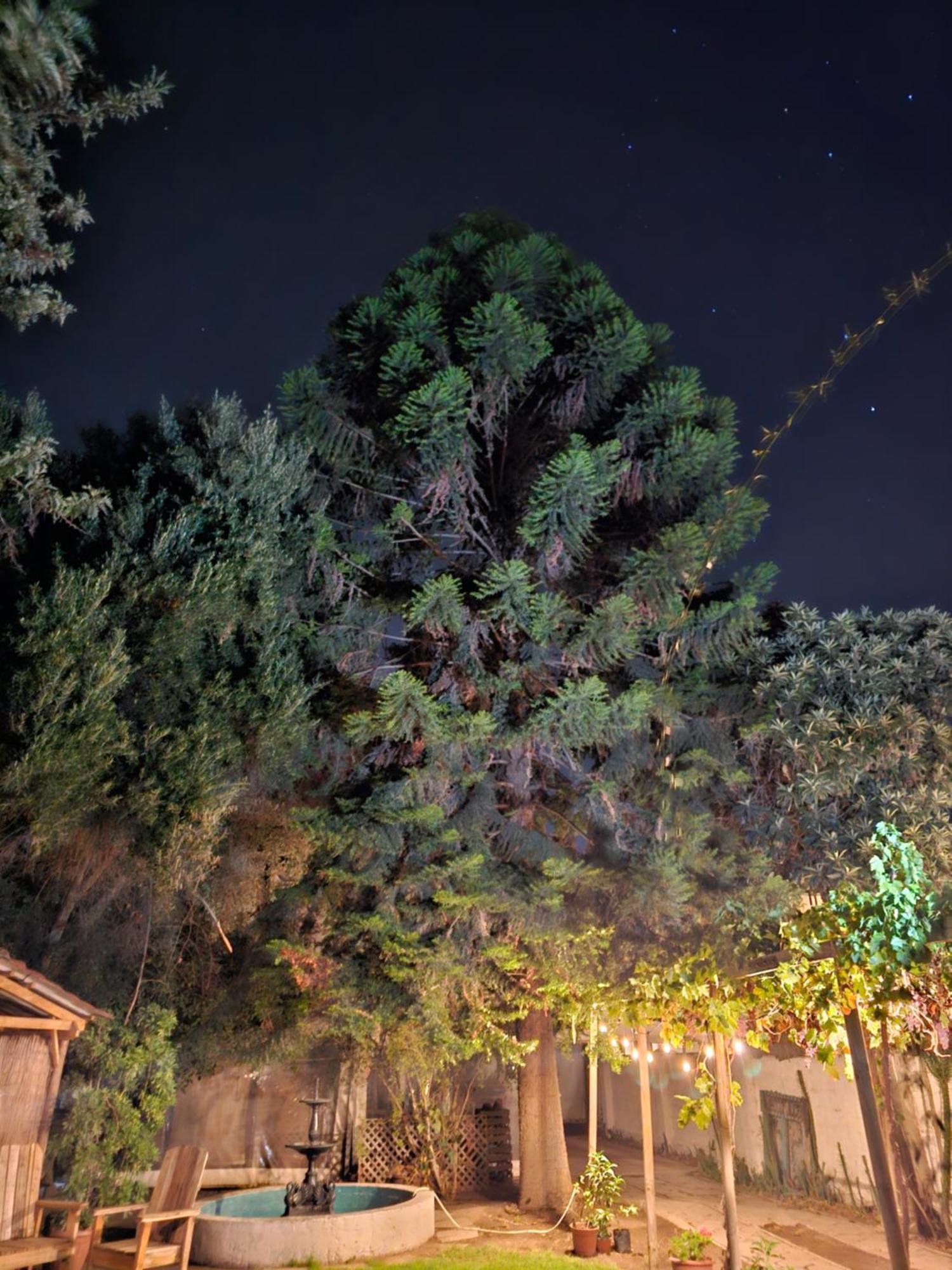 La Araucaria Cabana Con Tinaja San Felipe Exterior photo